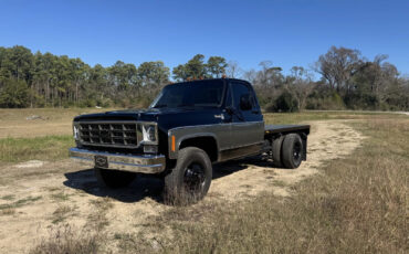 Chevrolet-C30-1978-Standard-Cab-Pickup-6