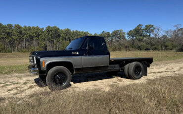 Chevrolet-C30-1978-Standard-Cab-Pickup-8