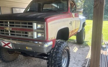 Chevrolet-CK-Pickup-1500-1986-Standard-Cab-Pickup-2