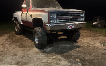 Chevrolet-CK-Pickup-1500-1986-Standard-Cab-Pickup-4