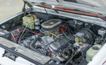 Chevrolet-CK-Pickup-1500-1990-Other-14