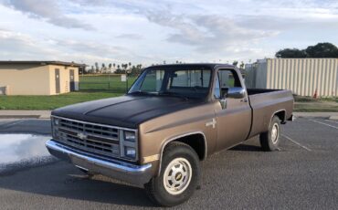 Chevrolet-CK-Pickup-2500-1986-1