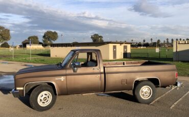 Chevrolet-CK-Pickup-2500-1986-5