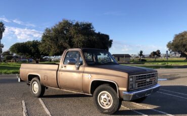 Chevrolet-CK-Pickup-2500-1986-9