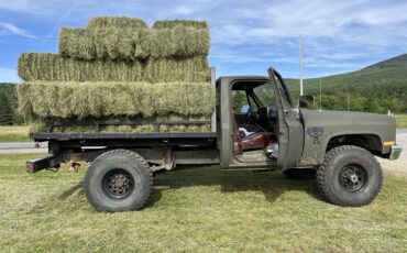 Chevrolet-CK-Pickup-3500-1985-3