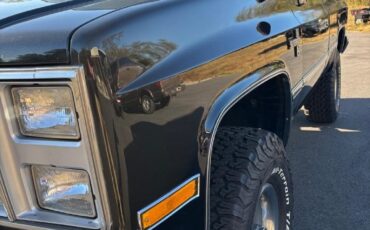 Chevrolet-CK10-Silverado-trim-short-bed-6.0-LS4x4-4L60-Nice-1986-Silverado-4x4-2