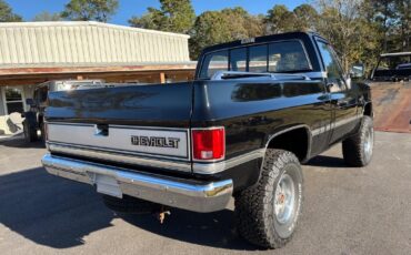 Chevrolet-CK10-Silverado-trim-short-bed-6.0-LS4x4-4L60-Nice-1986-Silverado-4x4-3