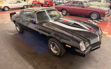 Chevrolet-Camaro-1978-29