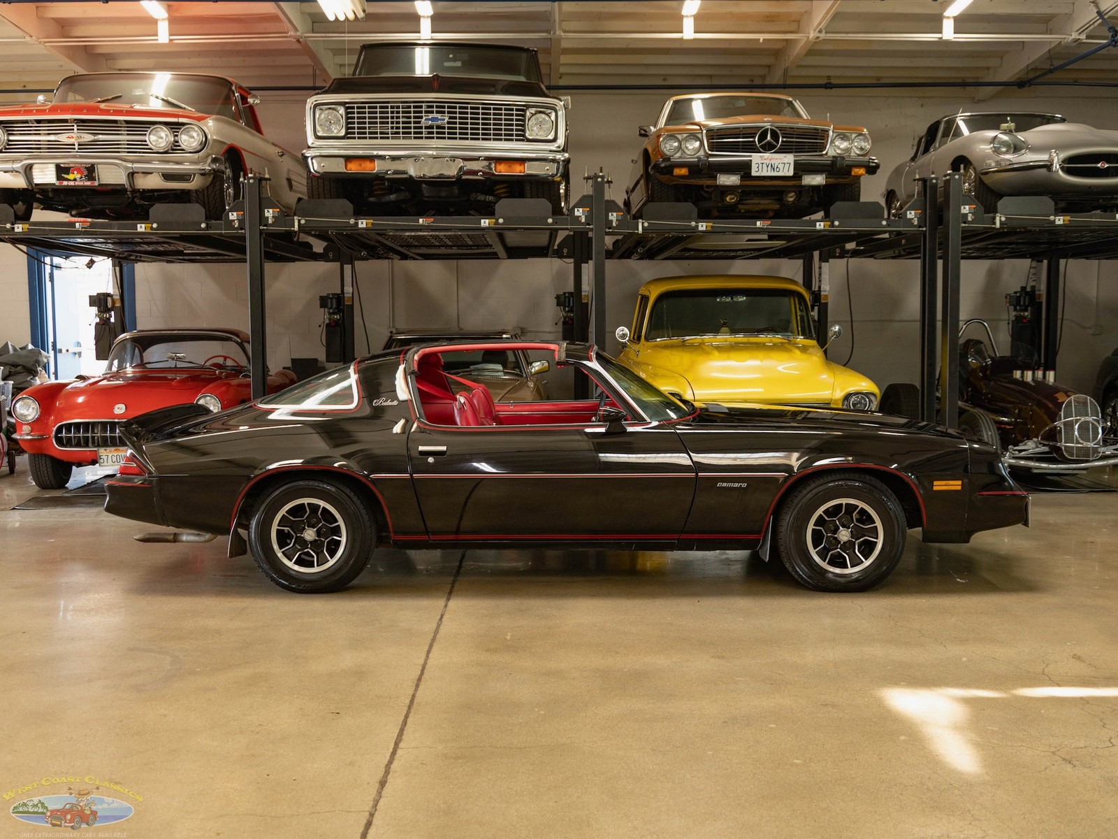 Chevrolet-Camaro-1981-Coupe-2