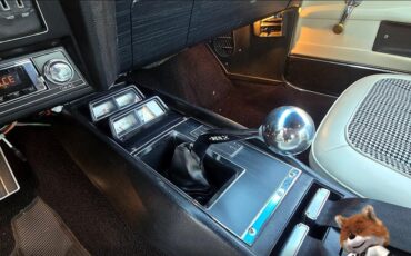 Chevrolet-Camero-Z28-1969-Coupe-5