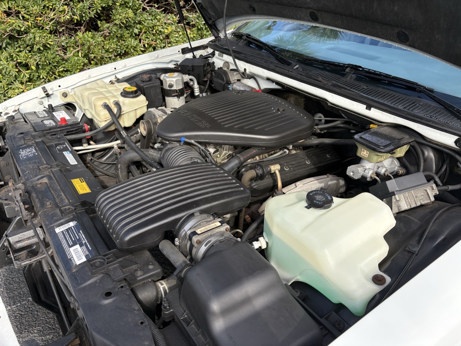 Chevrolet-Caprice-1994-21