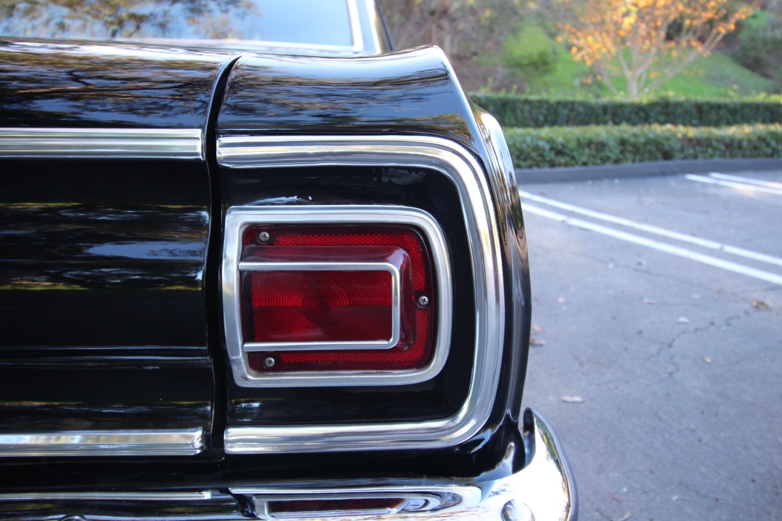 Chevrolet-Chevelle-1965-Coupe-17