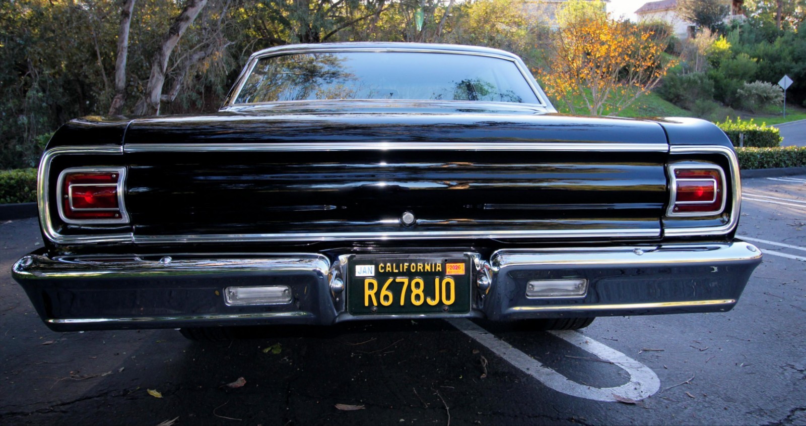 Chevrolet-Chevelle-1965-Coupe-19