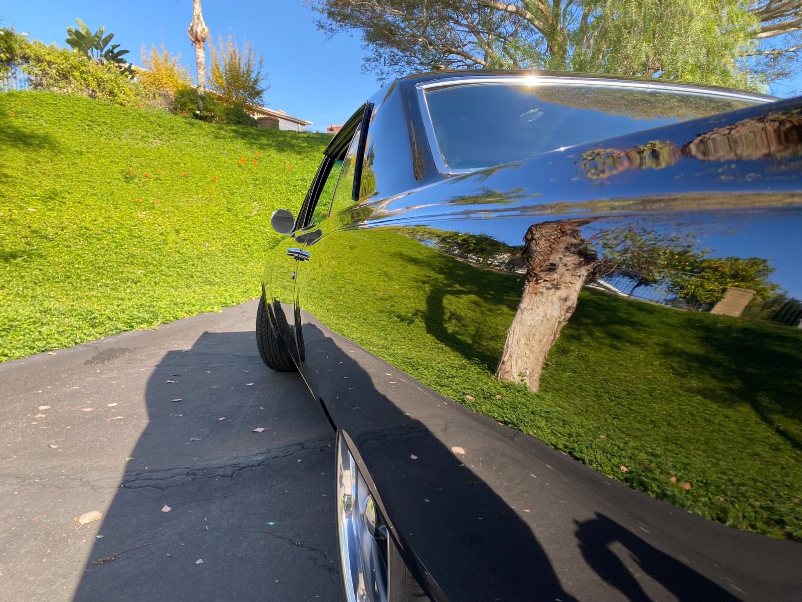 Chevrolet-Chevelle-1965-Coupe-4