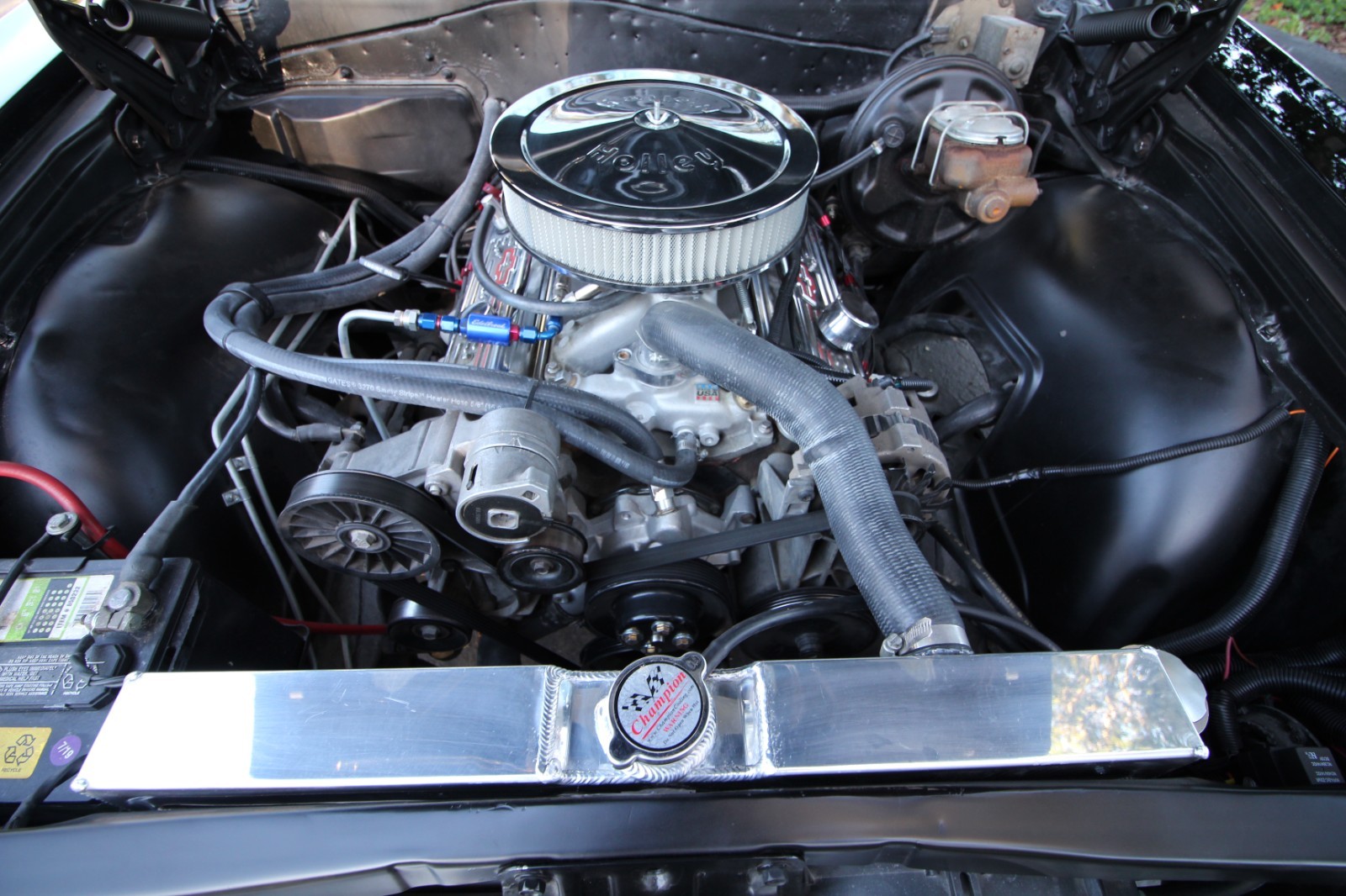 Chevrolet-Chevelle-1965-Coupe-8