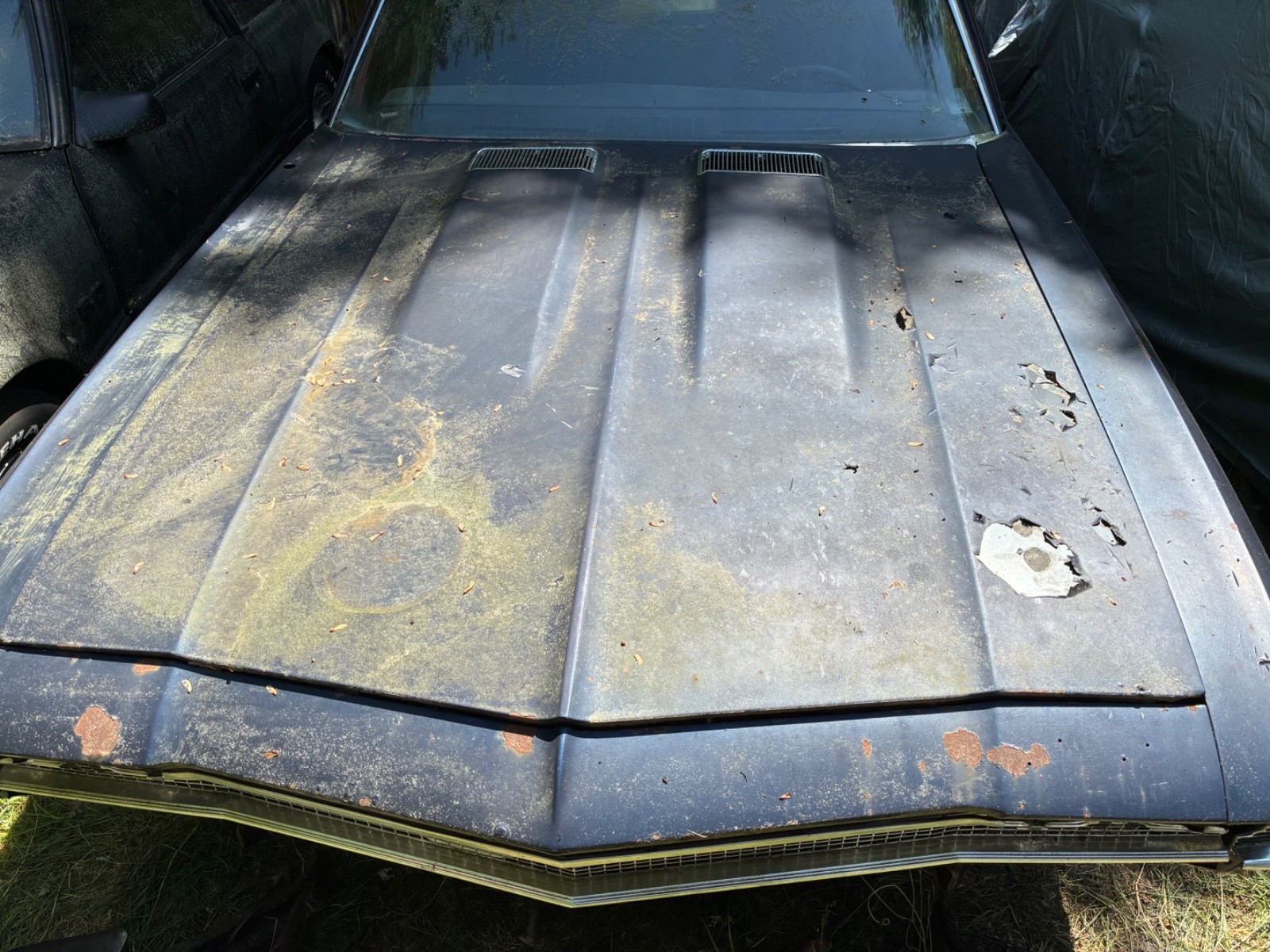 Chevrolet-Chevelle-1968-Coupe-18