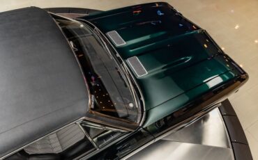 Chevrolet-Chevelle-1968-Green-49