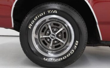 Chevrolet-Chevelle-1969-Coupe-29