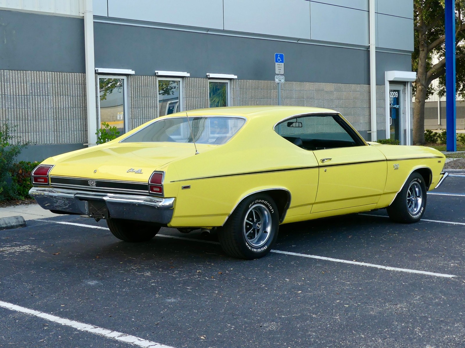 Chevrolet-Chevelle-1969-Other-19