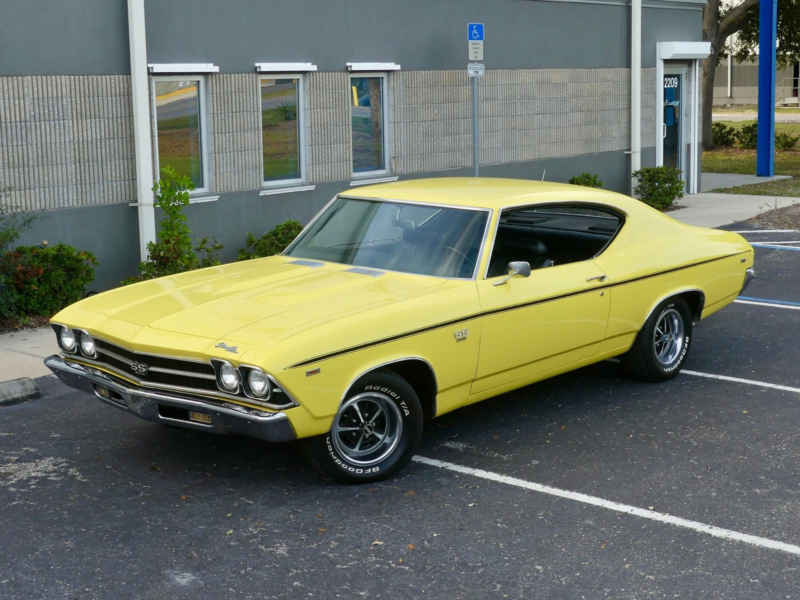 Chevrolet-Chevelle-1969-Other-8