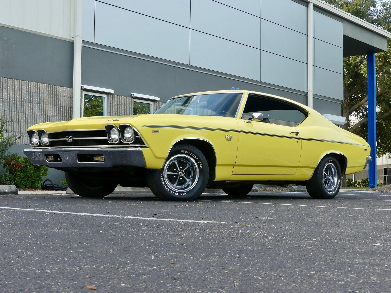 Chevrolet-Chevelle-1969-Other-9