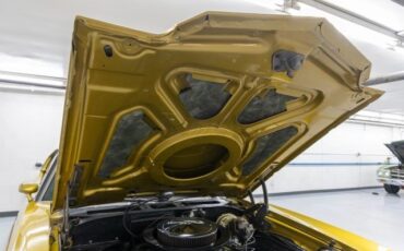 Chevrolet-Chevelle-1970-Coupe-29