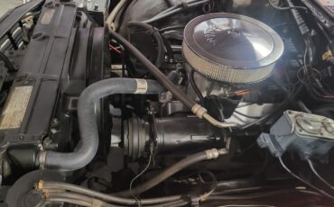 Chevrolet-Chevelle-1972-Convertible-35