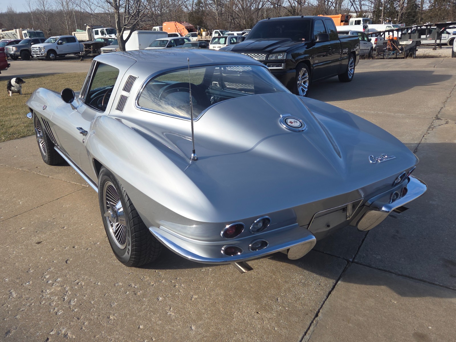 Chevrolet-Corvette-1965-Coupe-11