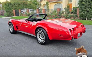 Chevrolet-Corvette-1975-Coupe-12