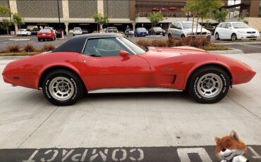 Chevrolet-Corvette-1975-Coupe-16