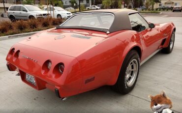 Chevrolet-Corvette-1975-Coupe-19