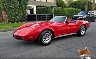 Chevrolet-Corvette-1975-Coupe