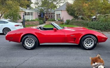 Chevrolet-Corvette-1975-Coupe-6