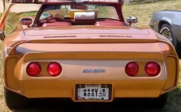 Chevrolet-Corvette-1976-Convertible-1