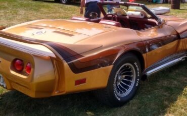 Chevrolet-Corvette-1976-Convertible-2