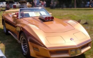 Chevrolet-Corvette-1976-Convertible-3