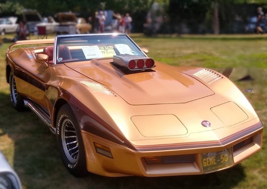 Chevrolet-Corvette-1976-Convertible-3