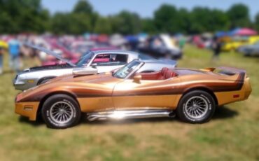 Chevrolet-Corvette-1976-Convertible