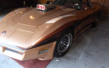 Chevrolet-Corvette-1976-Convertible-4