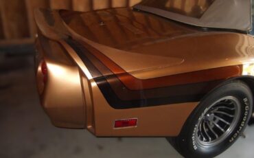 Chevrolet-Corvette-1976-Convertible-6