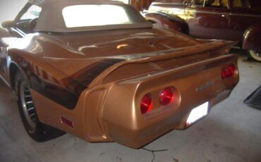 Chevrolet-Corvette-1976-Convertible-7