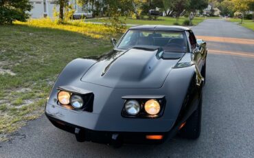 Chevrolet-Corvette-1976-Coupe-2