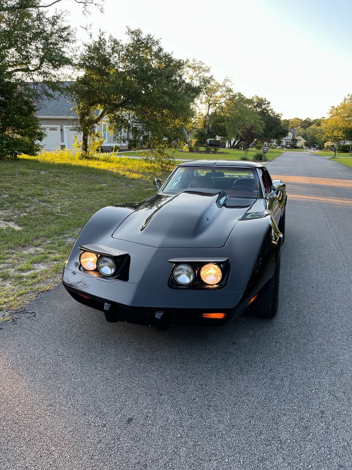 Chevrolet-Corvette-1976-Coupe-2
