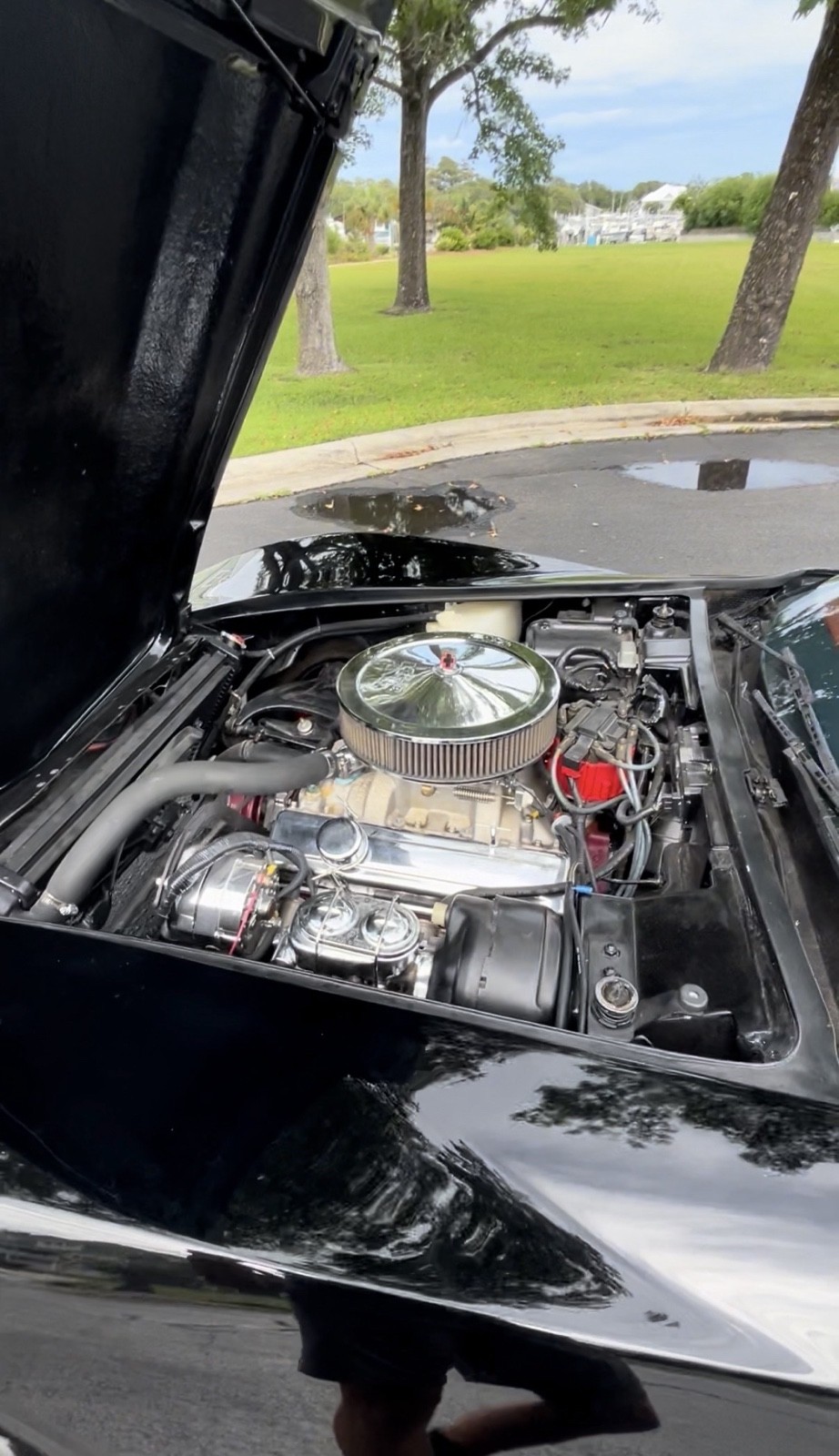 Chevrolet-Corvette-1976-Coupe-6