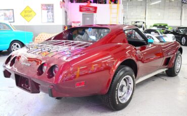 Chevrolet-Corvette-1976-Other-10