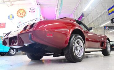 Chevrolet-Corvette-1976-Other-12