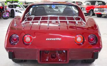 Chevrolet-Corvette-1976-Other-13