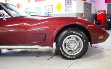 Chevrolet-Corvette-1976-Other-9