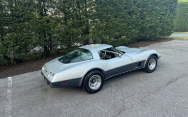 Chevrolet-Corvette-1978-12