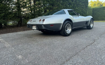 Chevrolet-Corvette-1978-14